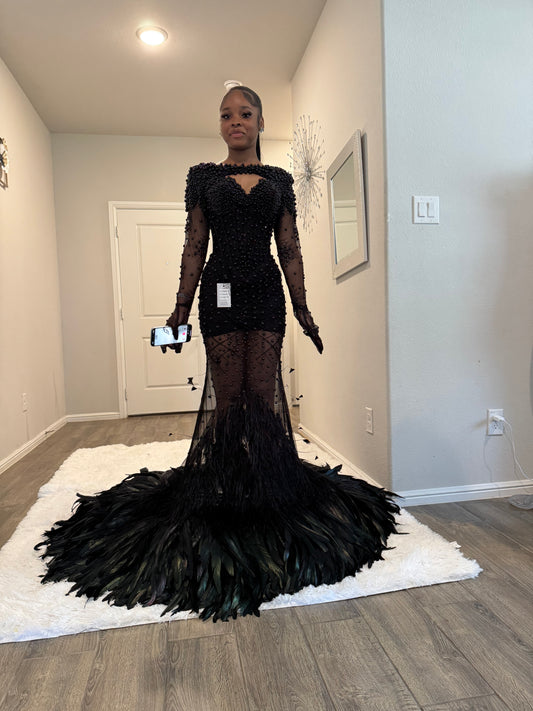 Jord: Beaded Blact Dress with feathers